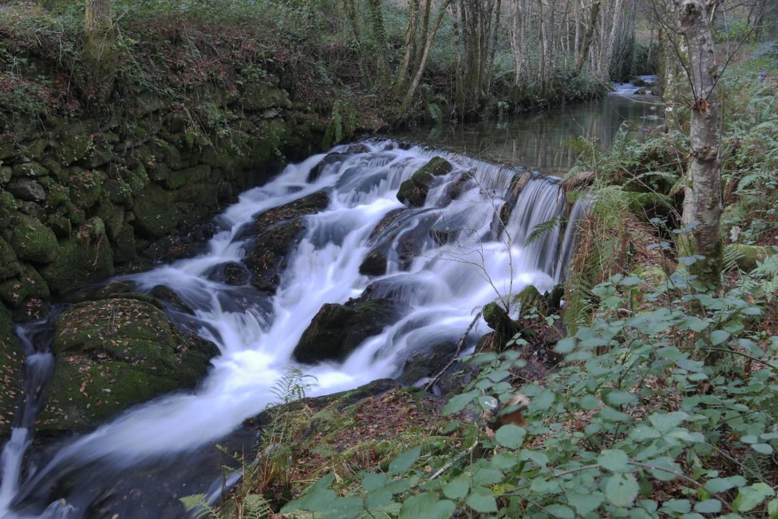 A Quinta De Cea Otel Dış mekan fotoğraf