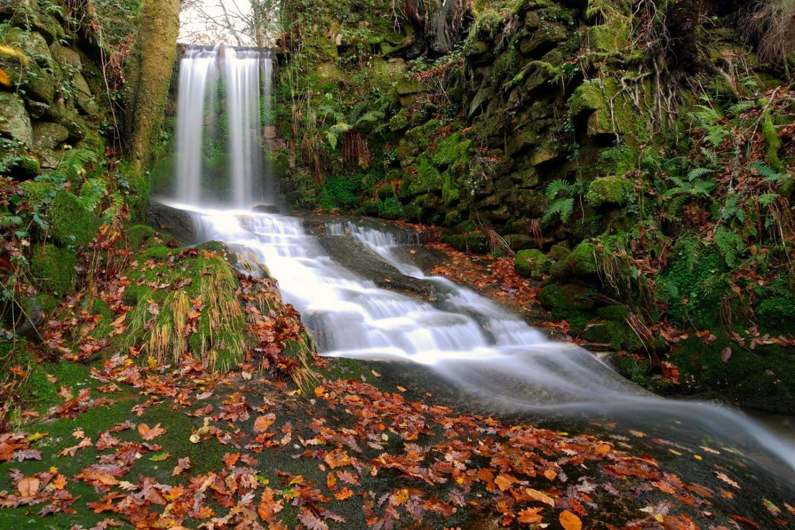A Quinta De Cea Otel Dış mekan fotoğraf